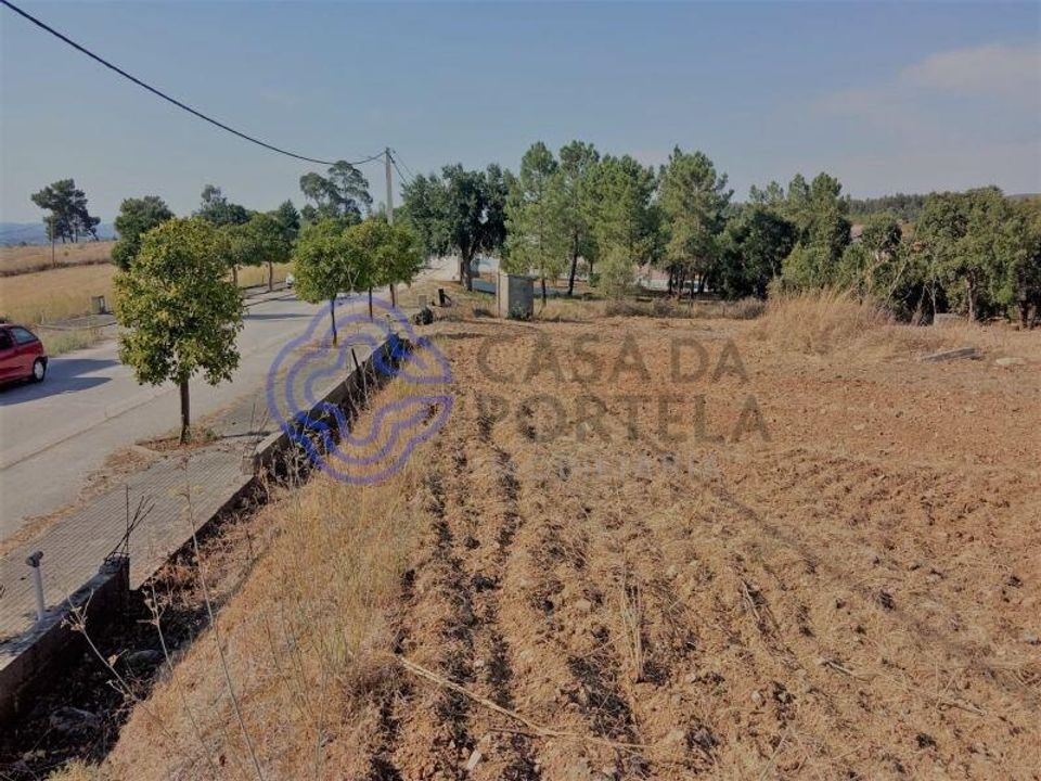 Helårsgrund i Tomar, Santarem - foto 3