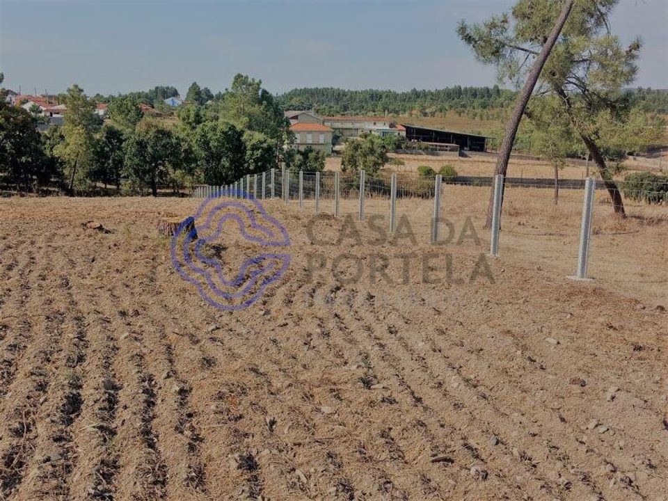 Helårsgrund i Tomar, Santarem - foto 4