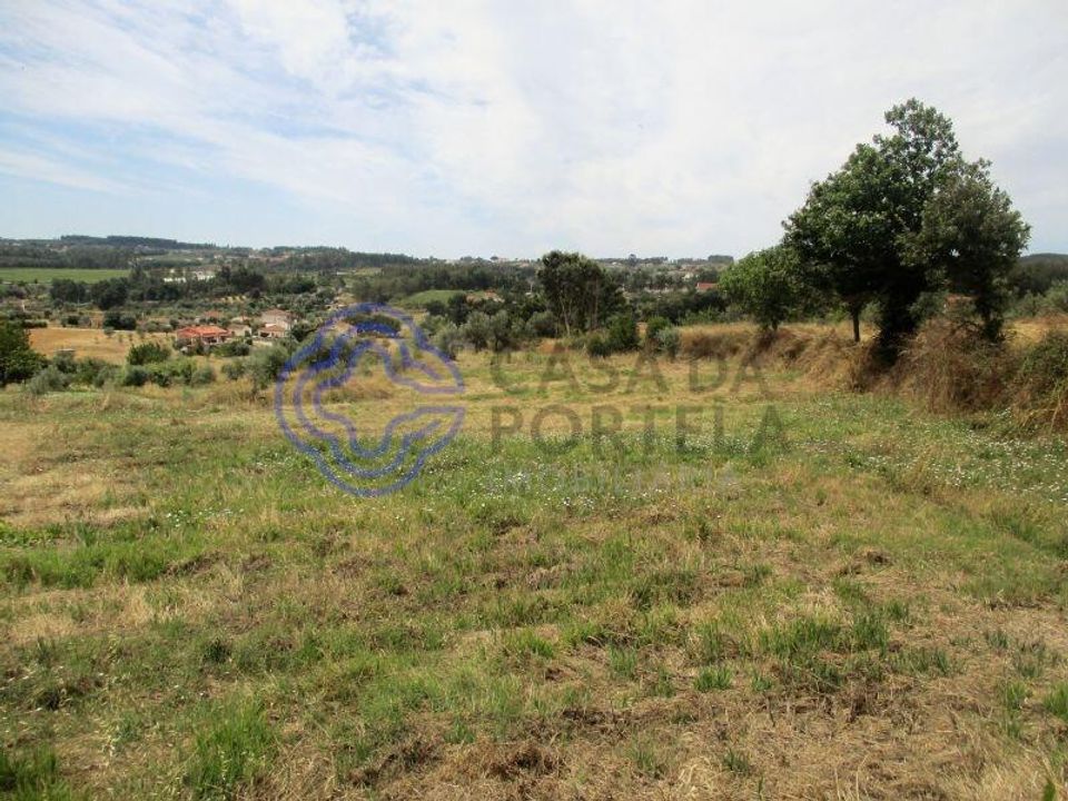 Helårsgrund i Ferreira do Zezere, Santarem - foto 1