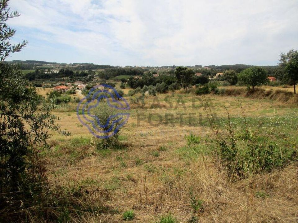 Helårsgrund i Ferreira do Zezere, Santarem - foto 3