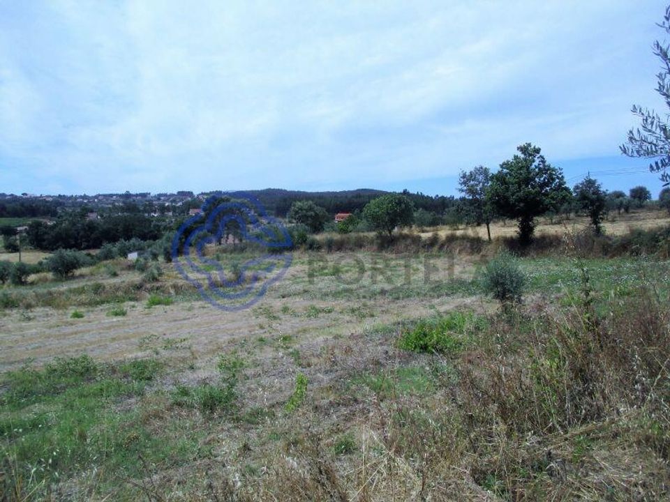 Helårsgrund i Ferreira do Zezere, Santarem - foto 4