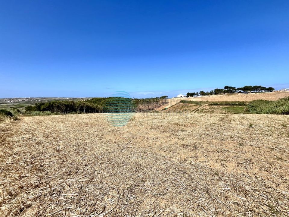 Helårsgrund i Torres Vedras, Lisbon - foto 5