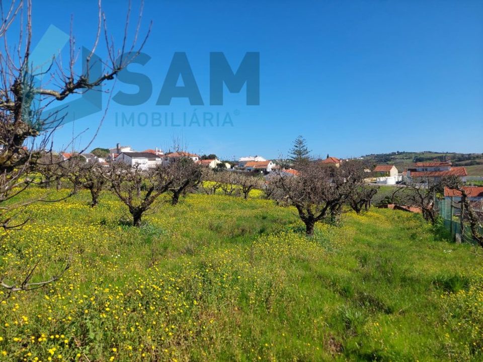 Helårsgrund i Carvalhal, Leiria - foto 3