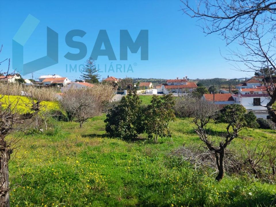 Helårsgrund i Carvalhal, Leiria - foto 4