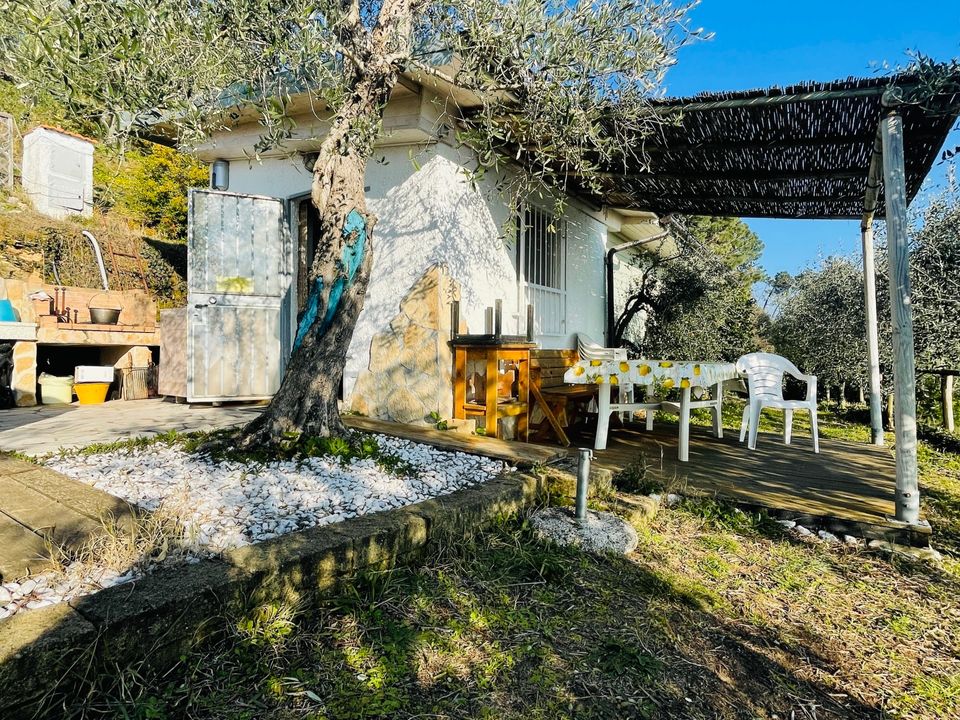 Villa i Pietrasanta, Lucca - foto 1