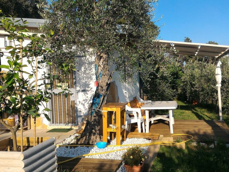 Villa i Pietrasanta, Lucca - foto 3