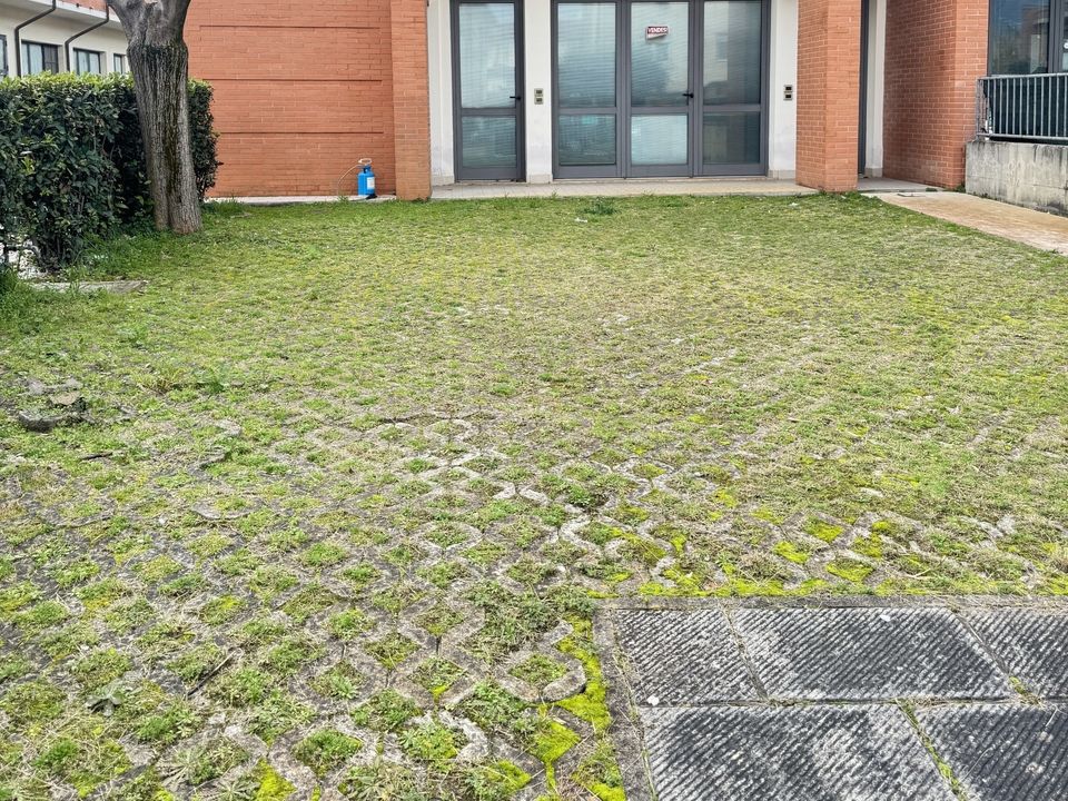 Erhvervsejendom i Camaiore, Lucca - foto 1