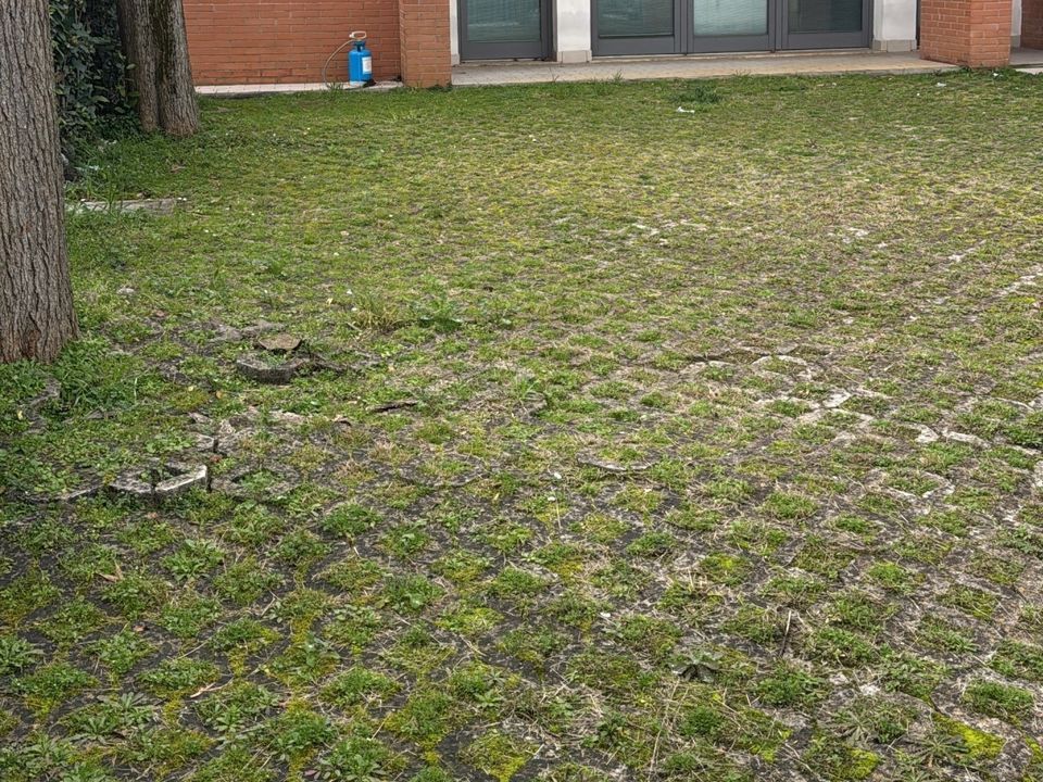 Erhvervsejendom i Camaiore, Lucca - foto 3