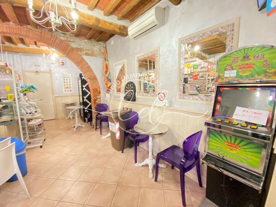 Erhvervsejendom i Pietrasanta, Lucca - foto 4