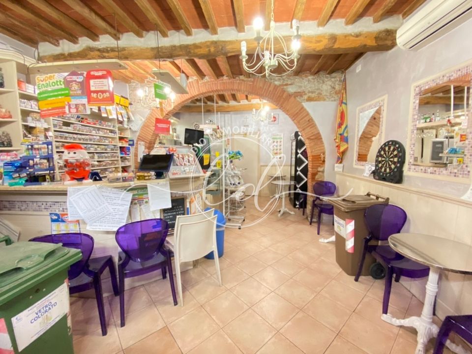 Erhvervsejendom i Pietrasanta, Lucca - foto 5