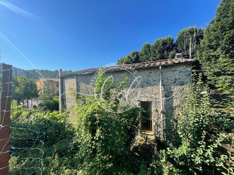 Villa i Camaiore, Lucca - foto 2