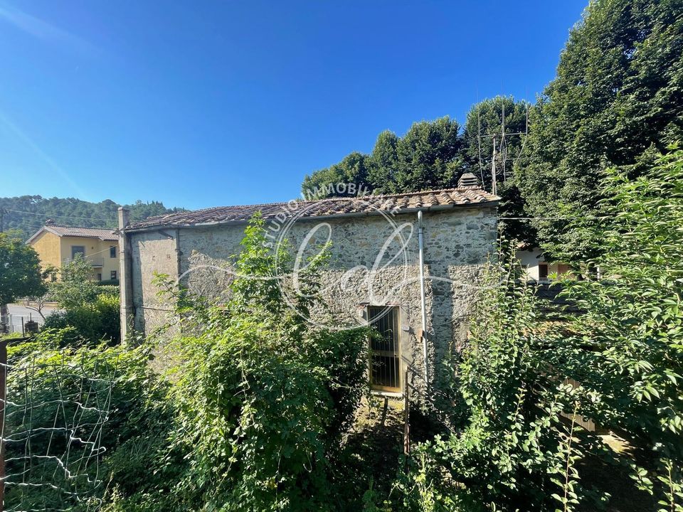 Villa i Camaiore, Lucca - foto 4