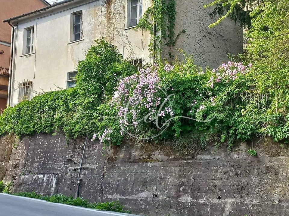 Villa a Pietrasanta, Lucca - foto 1