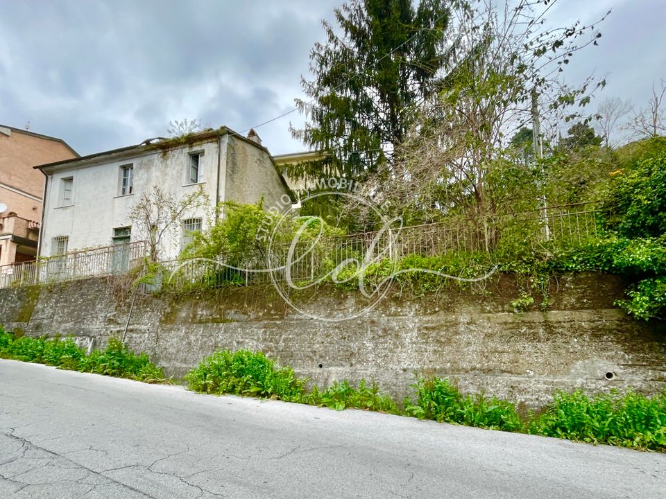 Villa a Pietrasanta, Lucca - foto 5