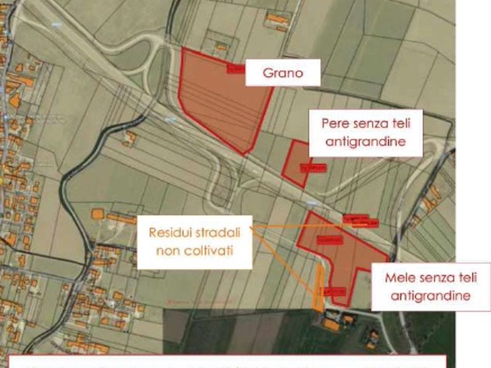 Helårsgrund i Legnago, Verona - foto 2