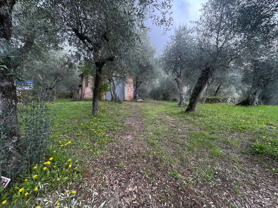 Erhvervsejendom i Pietrasanta, Lucca - foto 2