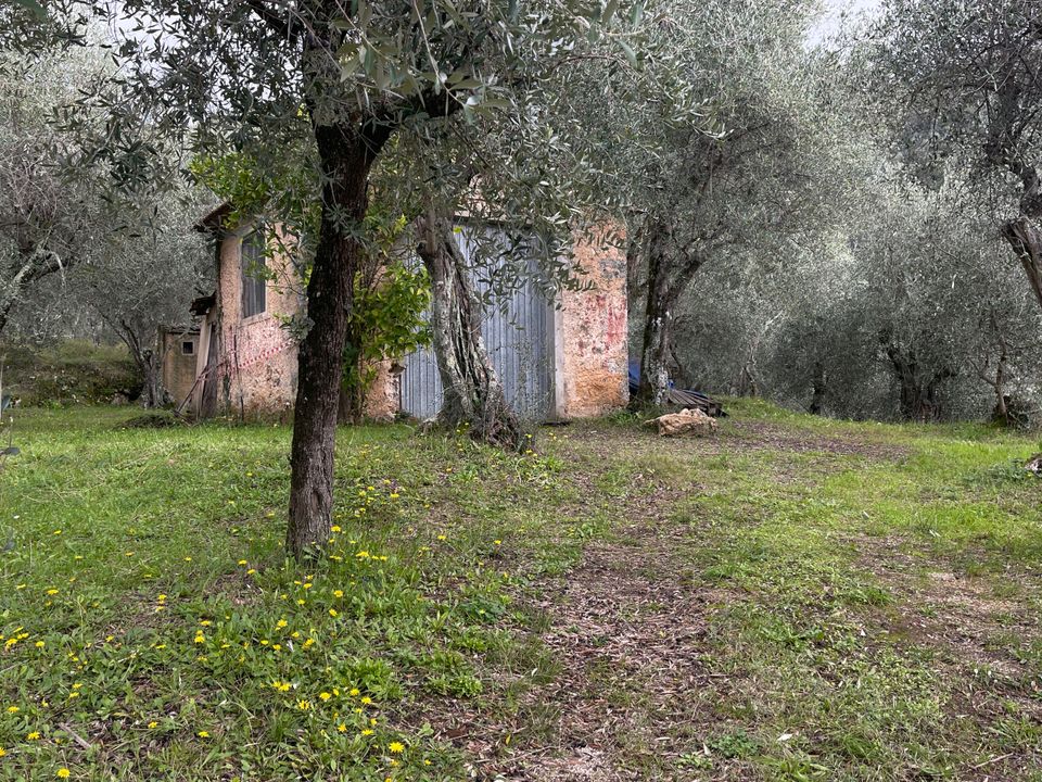 Erhvervsejendom i Pietrasanta, Lucca - foto 3
