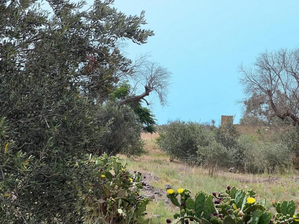 Helårsgrund i Matino, Lecce - foto 2