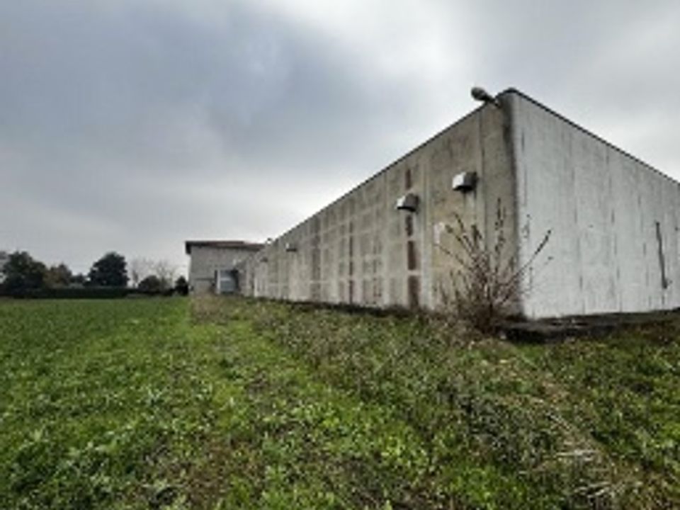 Erhvervsejendom i Roveredo di Gua, Verona - foto 1