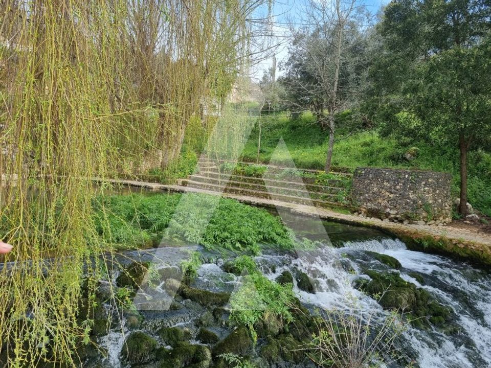 Farm i Pombal, Leiria - foto 3