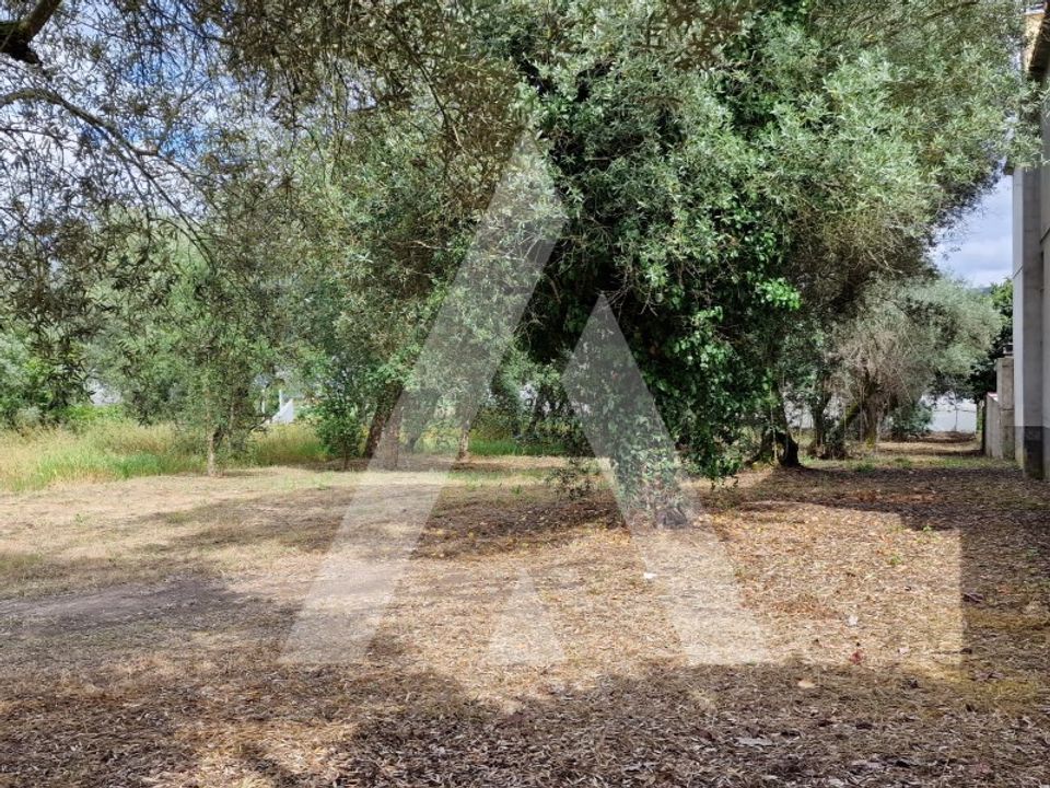 Helårsgrund i Souto da Carpalhosa e Ortigosa, Leiria - foto 1