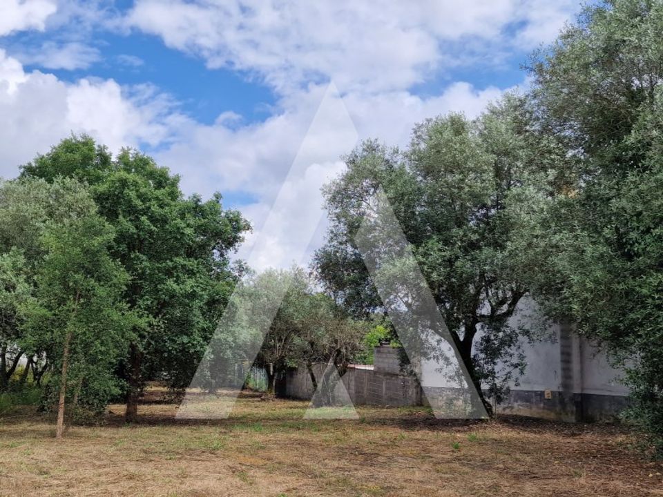 Helårsgrund i Souto da Carpalhosa e Ortigosa, Leiria - foto 2
