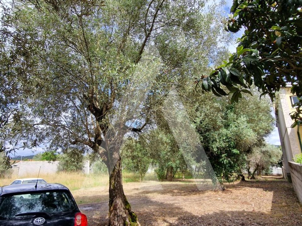 Helårsgrund i Souto da Carpalhosa e Ortigosa, Leiria - foto 3