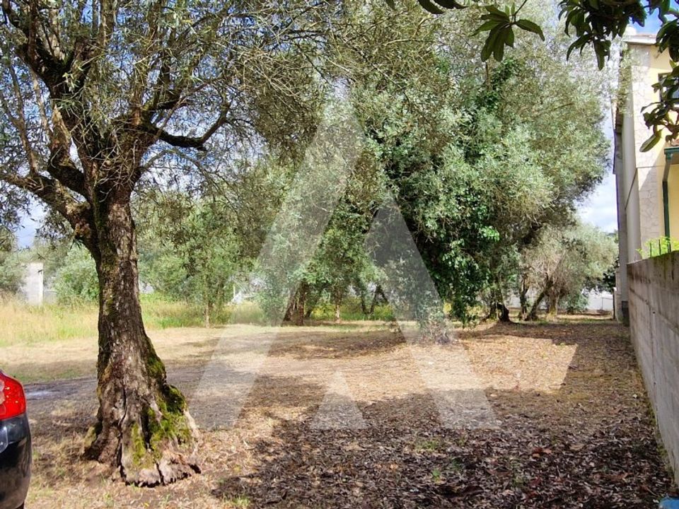 Helårsgrund i Souto da Carpalhosa e Ortigosa, Leiria - foto 4