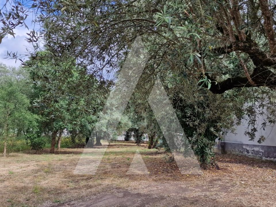 Helårsgrund i Souto da Carpalhosa e Ortigosa, Leiria - foto 5