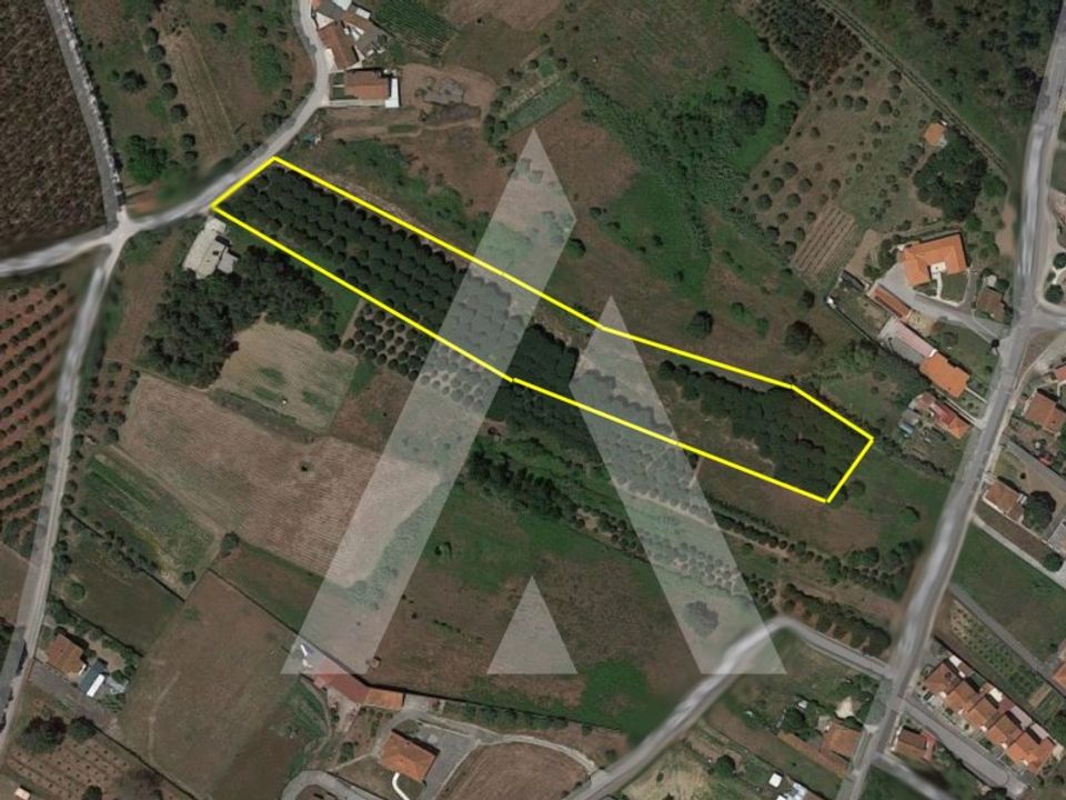 Helårsgrund i Batalha, Leiria - foto 1