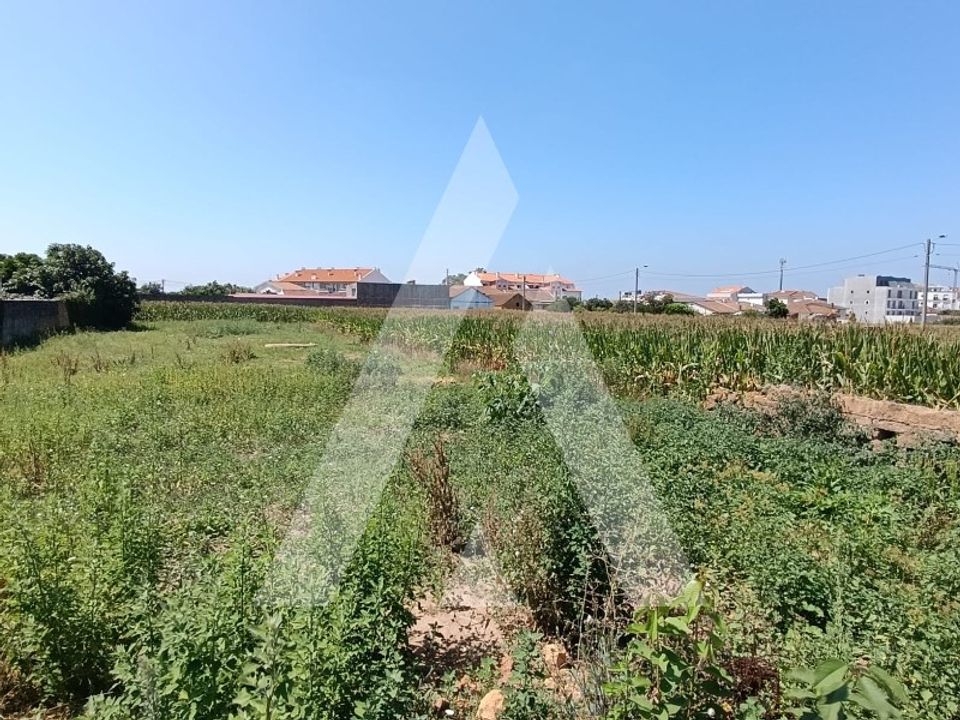 Terreno en Oia, Aveiro - foto 1