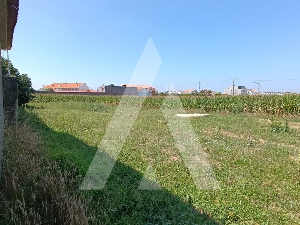Terreno en Oia, Aveiro - foto 2