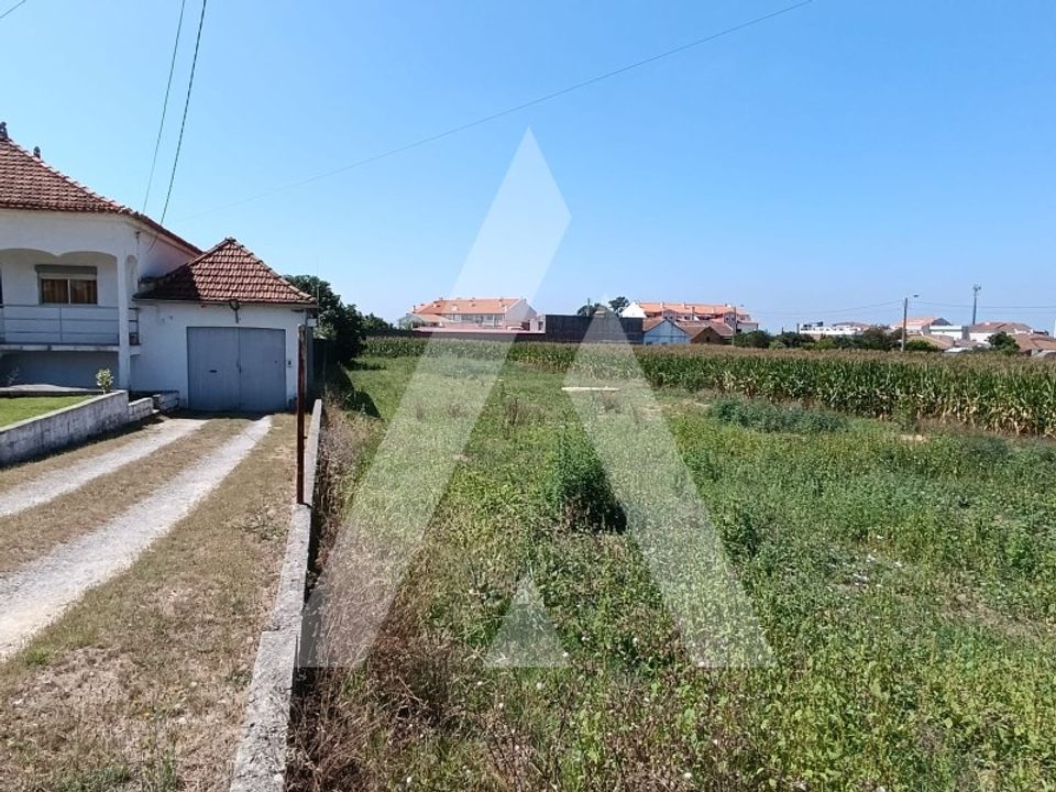 Terreno en Oia, Aveiro - foto 3