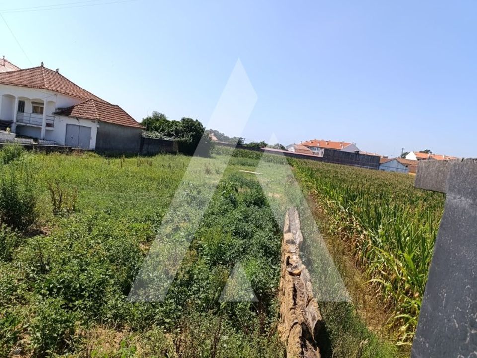 Terreno en Oia, Aveiro - foto 4