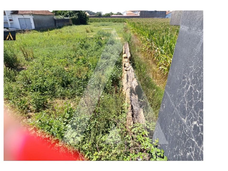 Terreno en Oia, Aveiro - foto 5