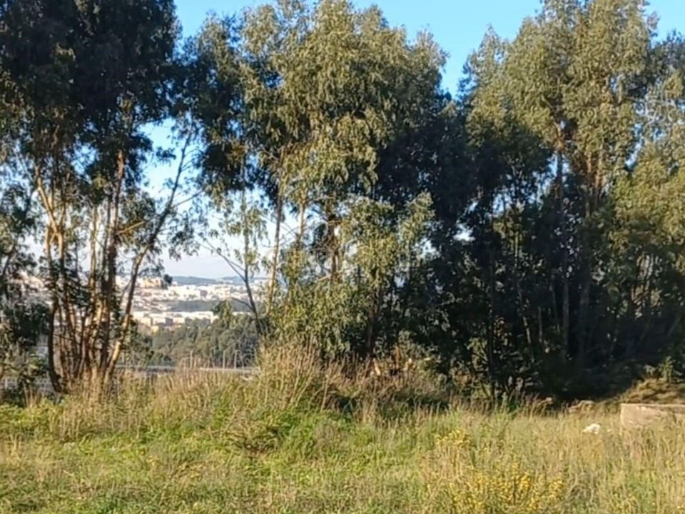 Helårsgrund i Maia, Porto - foto 2