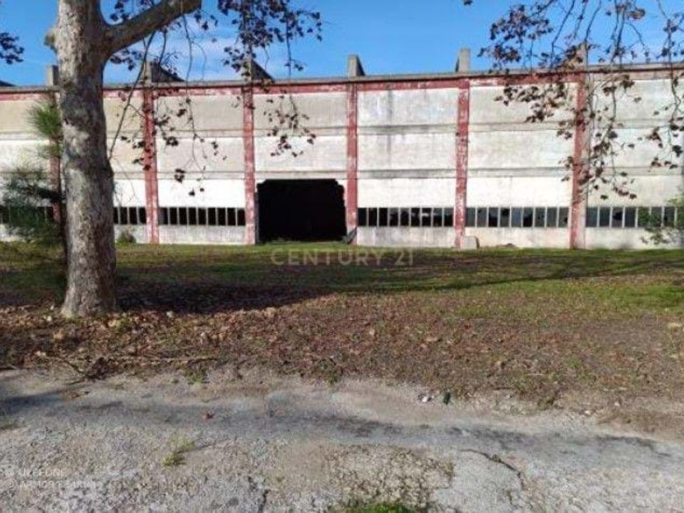 Erhvervsejendom i Palmela, Setubal - foto 4