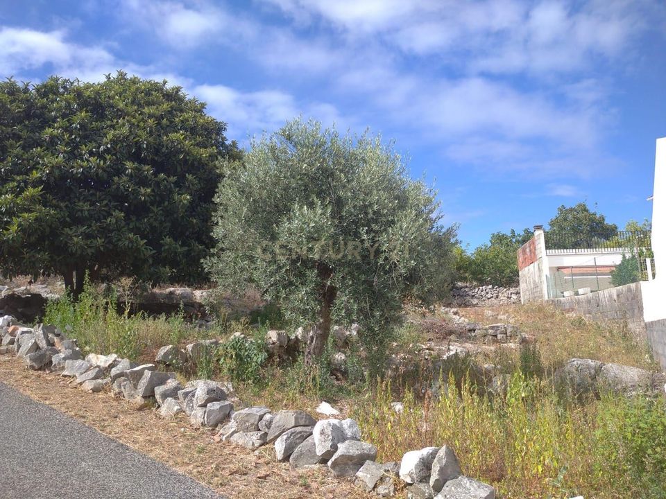 Helårsgrund i Porto de Mos, Leiria - foto 2