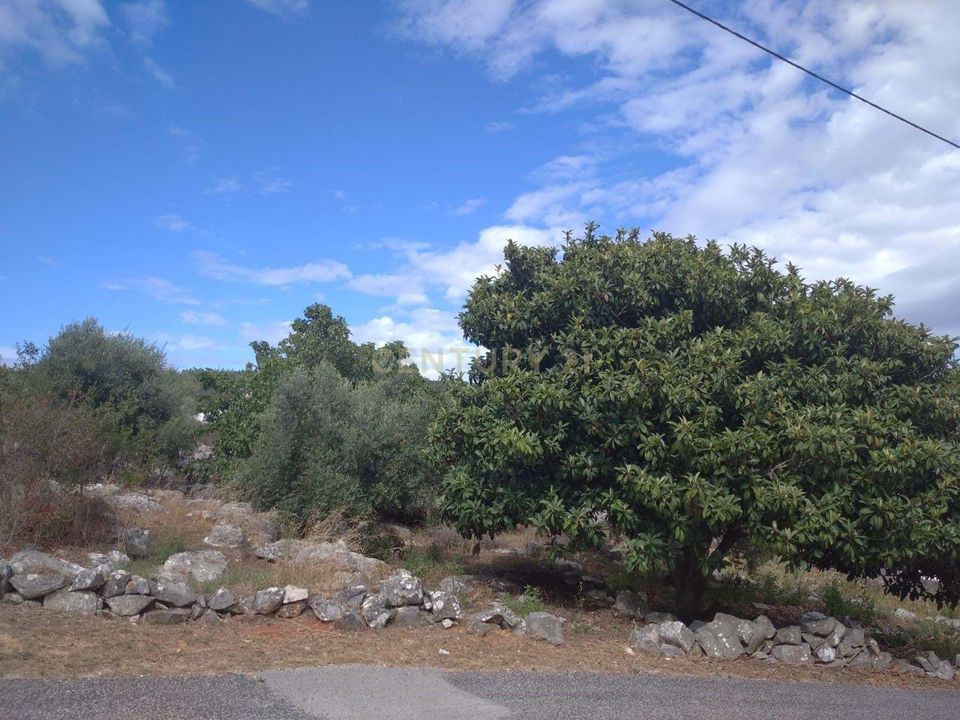 Helårsgrund i Porto de Mos, Leiria - foto 4