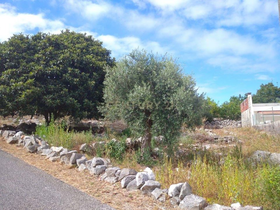 Helårsgrund i Porto de Mos, Leiria - foto 5