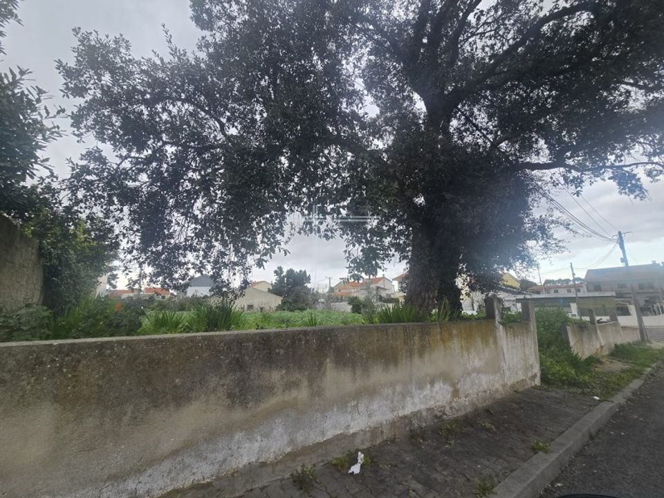 Tomt i Corroios, Setubal - bilde 4