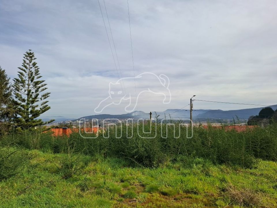 Helårsgrund i Caminha, Viana do Castelo - foto 4