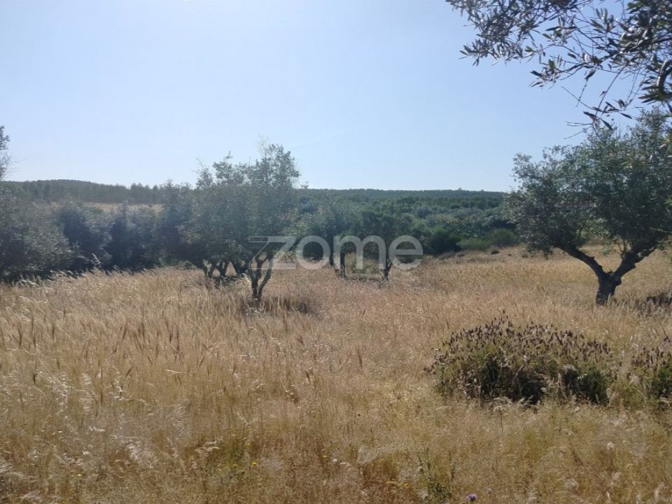 Terreno en Alter do Chao, Portalegre - foto 4