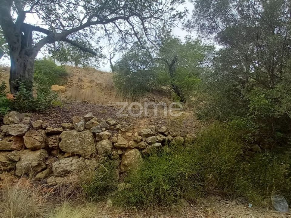 Villa i Estoi, Faro - foto 5