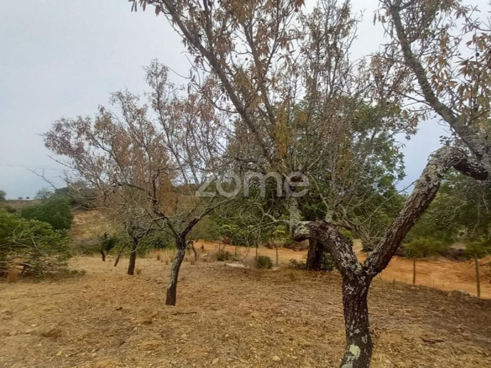 Villa i Estoi, Faro - foto 1