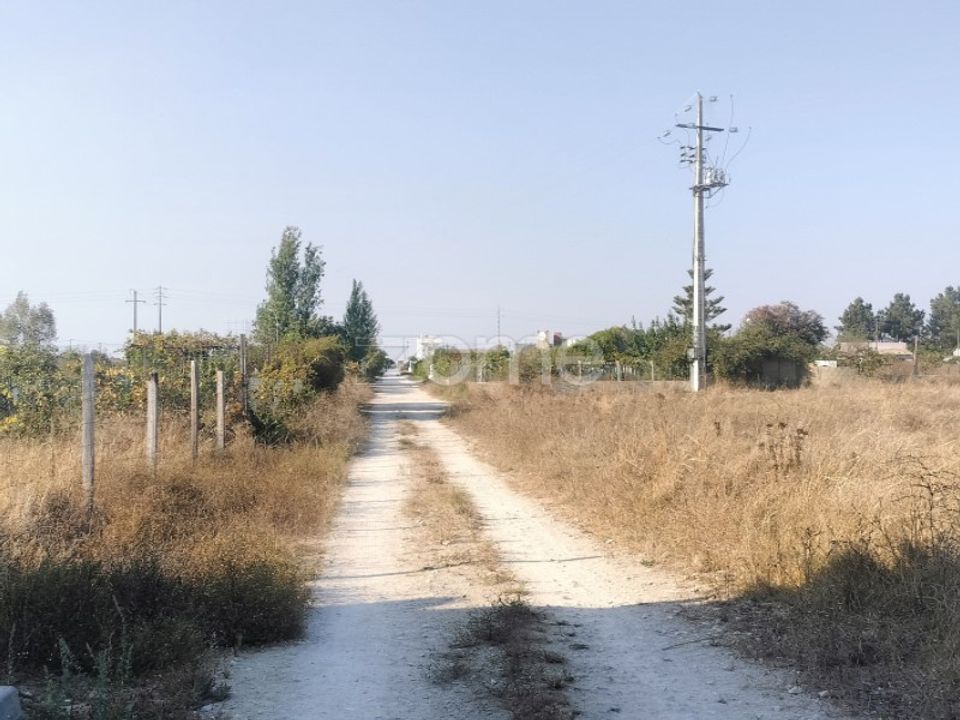 Helårsgrund i Palmela, Setubal - foto 5