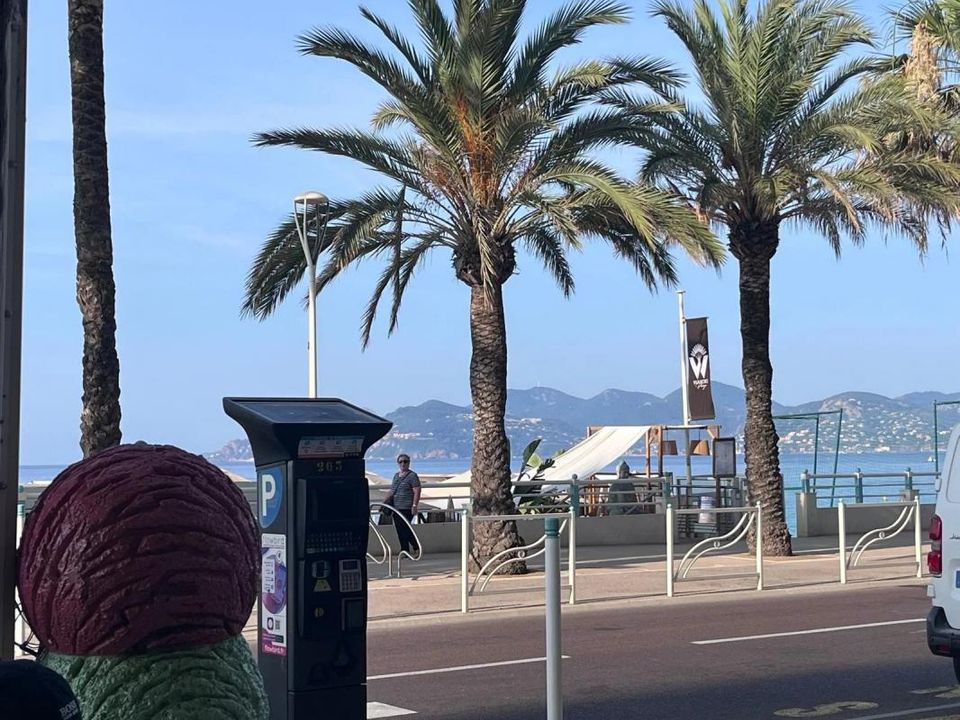 L'establiment comercial a Cannes, Alpes-Maritimes - foto 3