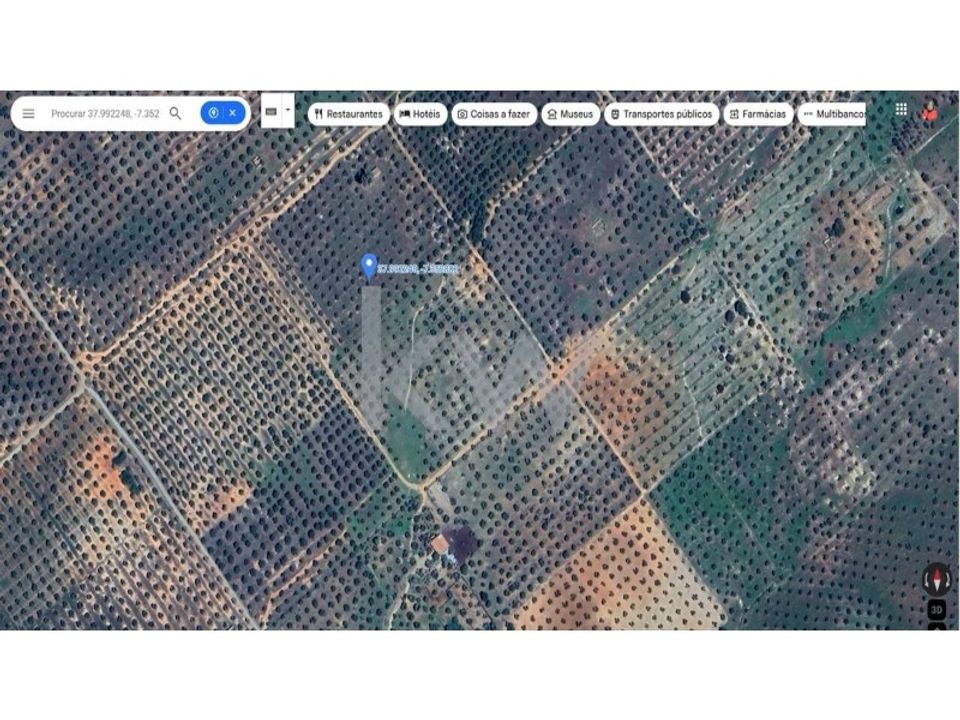 Land in Serpa, Beja - photo 3