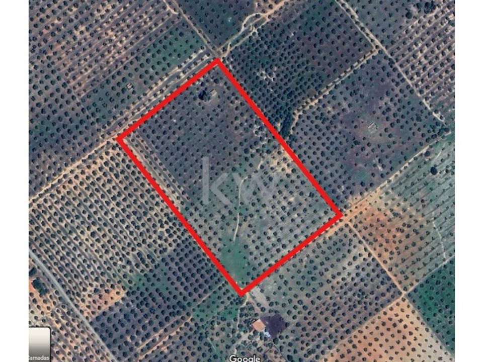 Land in Serpa, Beja - photo 4