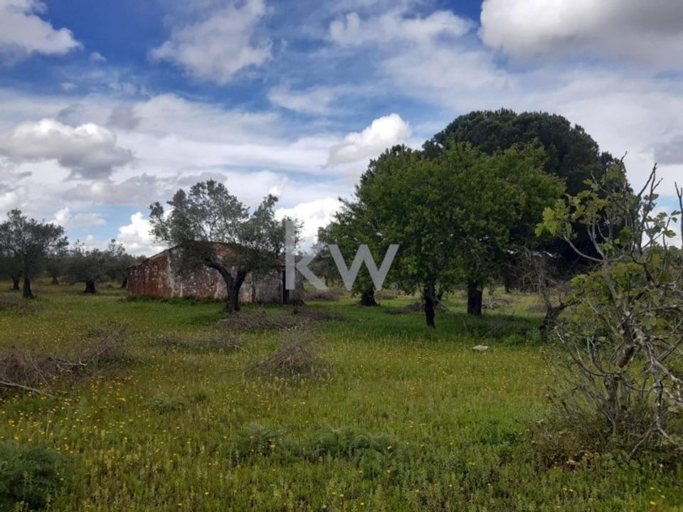 Land in Serpa, Beja - photo 5